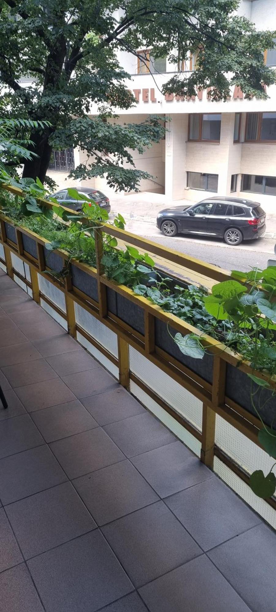 Апартаменти Family Apartman V Centre Mesta Братислава Екстер'єр фото